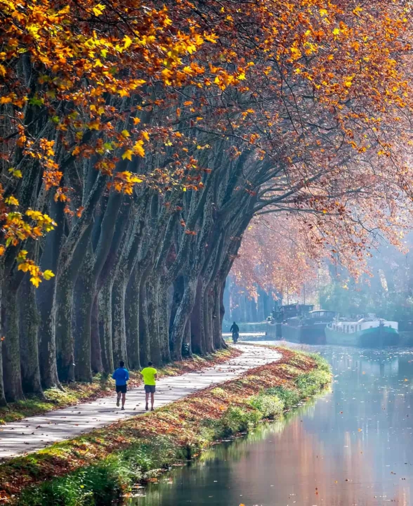 Autumn tree-lined canal in toulouse, with moored boats and towpath near French chateau wedding venues